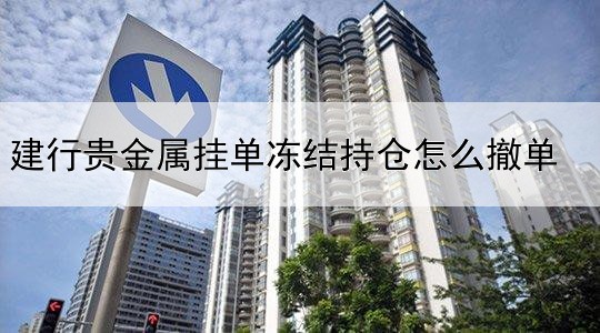 建行贵金属挂单冻结持仓怎么撤单