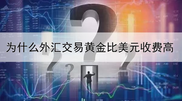 为什么外汇交易黄金比美元收费高