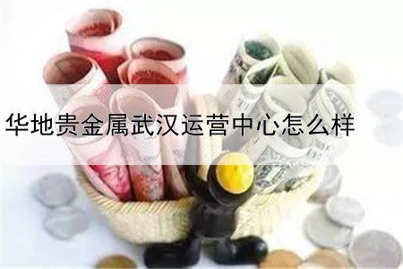 华地贵金属武汉运营中心怎么样