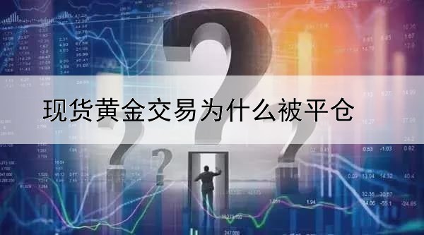 现货黄金交易为什么被平仓